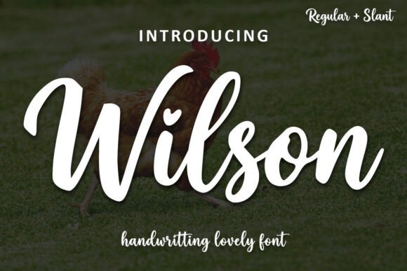 Wilson: A Handwritten Font with Heart and Hustle